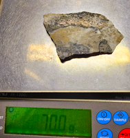 LARGE 70.00 Grams Colorado Gold Quartz Slab