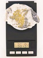 36.19 Grams Huge SUPER RICH Californian Gold Quartz Slab