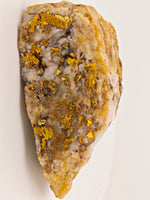 HUGE 111.40 Grams Californian Gold Quartz Nugget Specimen