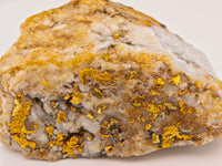 HUGE 111.40 Grams Californian Gold Quartz Nugget Specimen