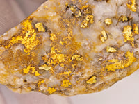 HUGE 111.40 Grams Californian Gold Quartz Nugget Specimen