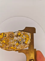 HUGE 111.40 Grams Californian Gold Quartz Nugget Specimen