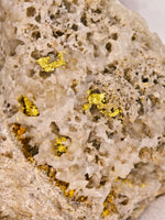 48.88 Grams Trio Colorado Crystalline Gold Quartz Nugget Specimens