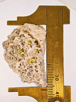 48.88 Grams Trio Colorado Crystalline Gold Quartz Nugget Specimens