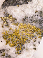 36.19 Grams Huge SUPER RICH Californian Gold Quartz Slab