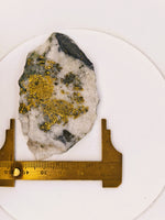 36.19 Grams Huge SUPER RICH Californian Gold Quartz Slab