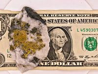 36.19 Grams Huge SUPER RICH Californian Gold Quartz Slab