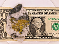 36.19 Grams Huge SUPER RICH Californian Gold Quartz Slab