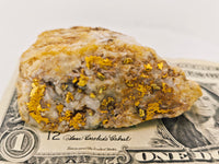 HUGE 111.40 Grams Californian Gold Quartz Nugget Specimen