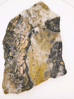 LARGE 70.00 Grams Colorado Gold Quartz Slab