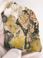 LARGE 70.00 Grams Colorado Gold Quartz Slab