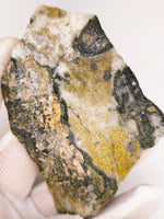 LARGE 70.00 Grams Colorado Gold Quartz Slab
