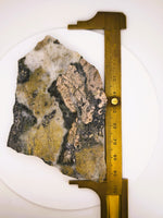 LARGE 70.00 Grams Colorado Gold Quartz Slab