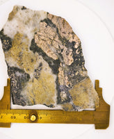LARGE 70.00 Grams Colorado Gold Quartz Slab