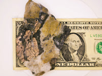 LARGE 70.00 Grams Colorado Gold Quartz Slab