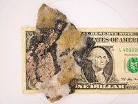 LARGE 70.00 Grams Colorado Gold Quartz Slab
