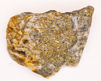 9.56 Grams Colorado RARE Wire Gold Quartz Nugget Specimen