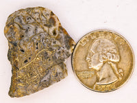 9.56 Grams Colorado RARE Wire Gold Quartz Nugget Specimen