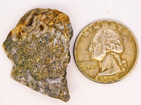 9.56 Grams Colorado RARE Wire Gold Quartz Nugget Specimen