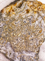 9.56 Grams Colorado RARE Wire Gold Quartz Nugget Specimen