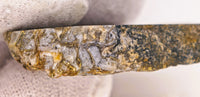 9.56 Grams Colorado RARE Wire Gold Quartz Nugget Specimen