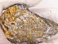 9.56 Grams Colorado RARE Wire Gold Quartz Nugget Specimen