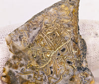 9.56 Grams Colorado RARE Wire Gold Quartz Nugget Specimen