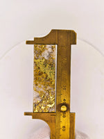 47.91ct 16to1 Mine Gold Quartz Slab - HEAVY SUPER RICH