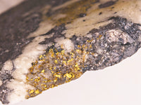 63.30 Grams Huge MEGA RICH Californian Gold Quartz Slab