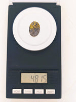 4.81ct Black Gold in Quartz Cabochon
