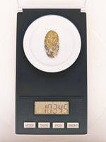 10.34ct Oval Colorado Gold in Quartz Cabochon