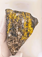 801.40 Grams Huge Bonzana  Gold Quartz Specimen