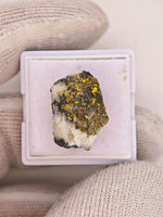 14.50ct California Gold Quartz Specimen