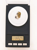 14.50ct California Gold Quartz Specimen