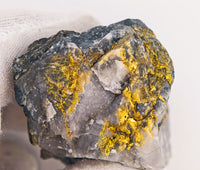 68.3 Grams RICH Californian Gold Quartz Specimen
