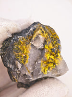 68.3 Grams RICH Californian Gold Quartz Specimen