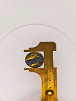 15.72ct Black Oval Gold Quartz Cabochon GRAIL