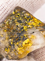 7.21 Gram 22k Alaskan Gold Quartz Nugget