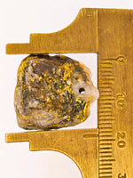 7.21 Gram 22k Alaskan Gold Quartz Nugget