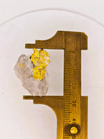 11.27 Grams 16to1 Mine Gold Quartz Specimen