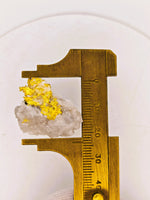 11.27 Grams 16to1 Mine Gold Quartz Specimen