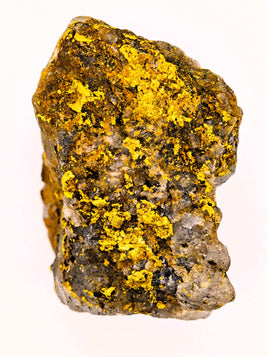 Huge 67 Gram 22k Alaskan Gold Quartz Nugget