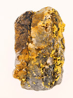 Huge 67 Gram 22k Alaskan Gold Quartz Nugget