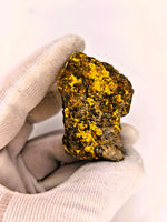 Huge 67 Gram 22k Alaskan Gold Quartz Nugget