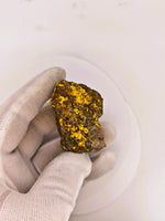 Huge 67 Gram 22k Alaskan Gold Quartz Nugget