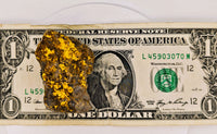 Huge 67 Gram 22k Alaskan Gold Quartz Nugget