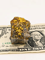 Huge 67 Gram 22k Alaskan Gold Quartz Nugget