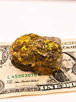 Huge 67 Gram 22k Alaskan Gold Quartz Nugget