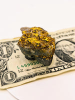 Huge 67 Gram 22k Alaskan Gold Quartz Nugget