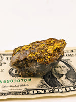 Huge 67 Gram 22k Alaskan Gold Quartz Nugget